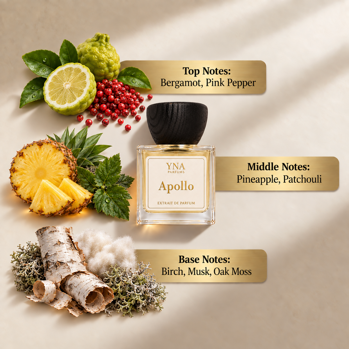 YNA Parfums Apollo Extrait de Parfum 50ml fragrance notes: top notes bergamot and pink pepper, middle notes pineapple and patchouli, base notes birch, musk and oak moss