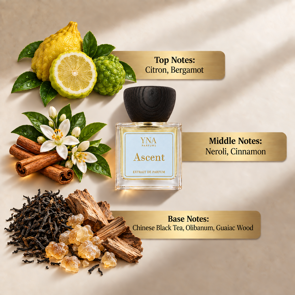 YNA Parfums Ascent Extrait de Parfum 50ml fragrance notes: top notes citron and bergamot, middle notes neroli and cinnamon, base notes Chinese black tea, olibanum and guaiac wood